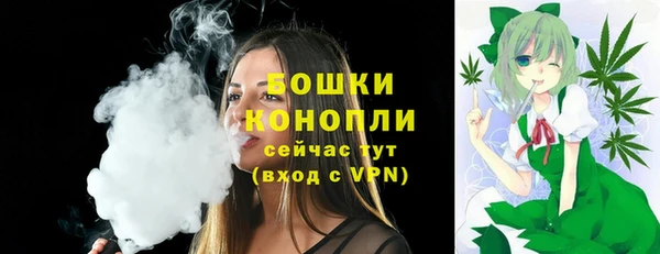 винт Надым