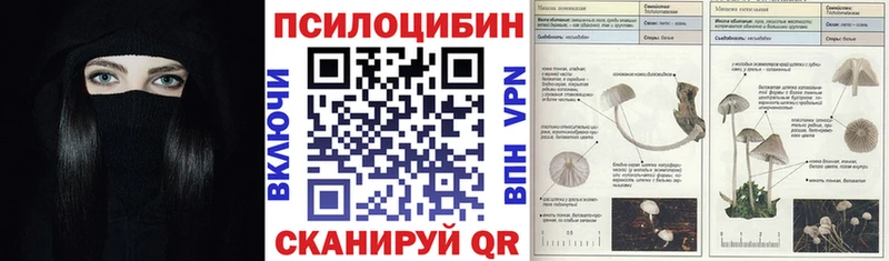 Псилоцибиновые грибы Psilocybe  Ульяновск 